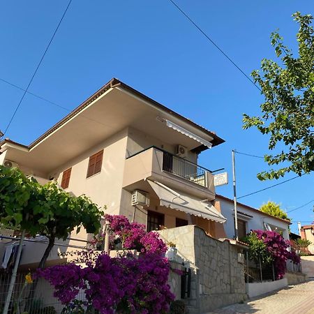 Miranda Studios Paliúri Kültér fotó