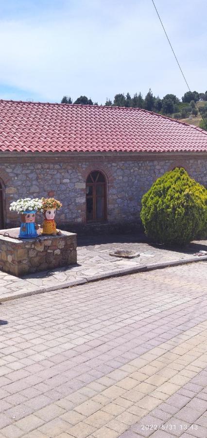 Miranda Studios Paliúri Kültér fotó